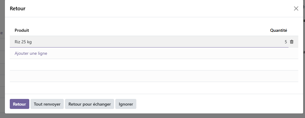 Fenêtre Odoo 19 « Retour » sur la réception de riz, quantité à retourner fixée à 5.